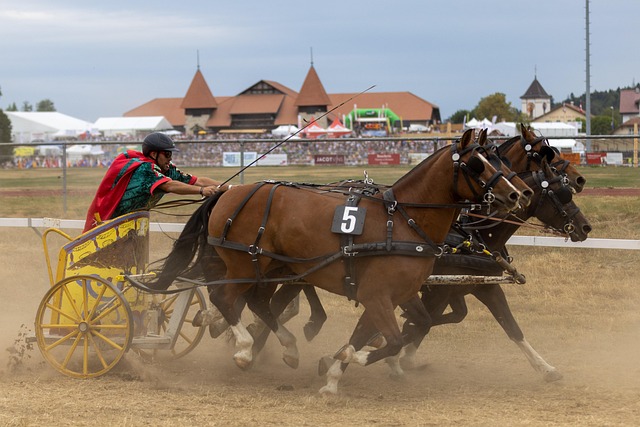 也为其他地 也为其他地